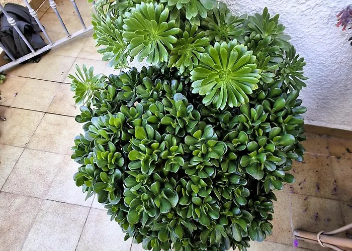 Apartemento Monika Monte Pedrera C 4 Aussicht Апартаменти Денія